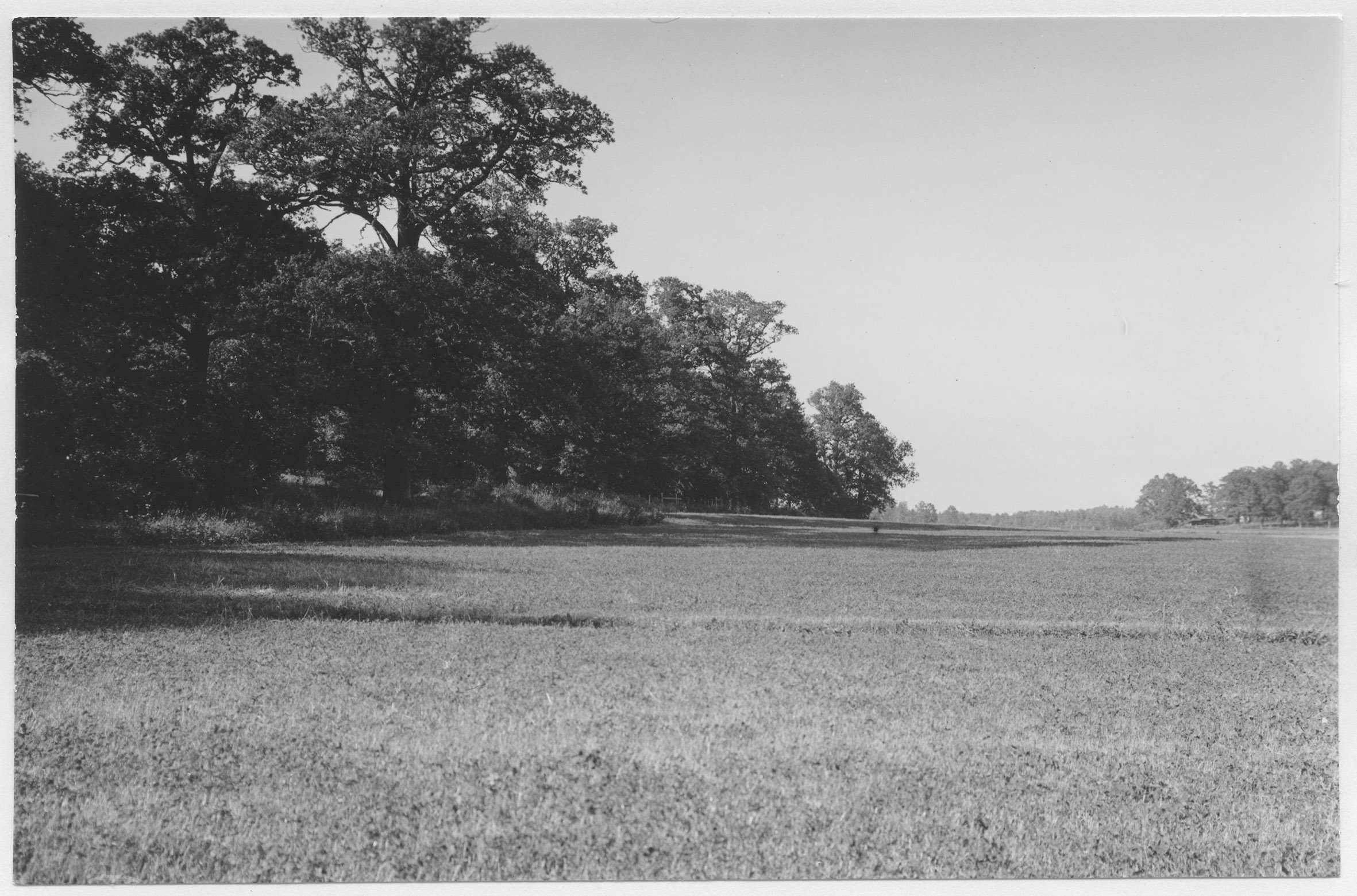 Mårten Sjöbeck, Frösvidal