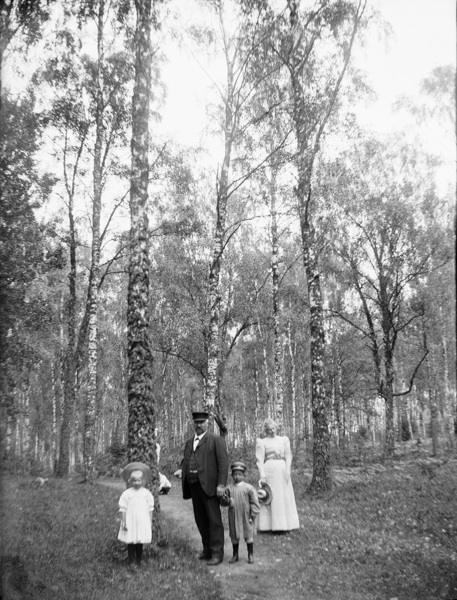Carl Liljefors, Lisa, Frithiof, Erik and Marianne Liljefors in Visbohammar, Gnesta, Södermanland 1900 - 1901