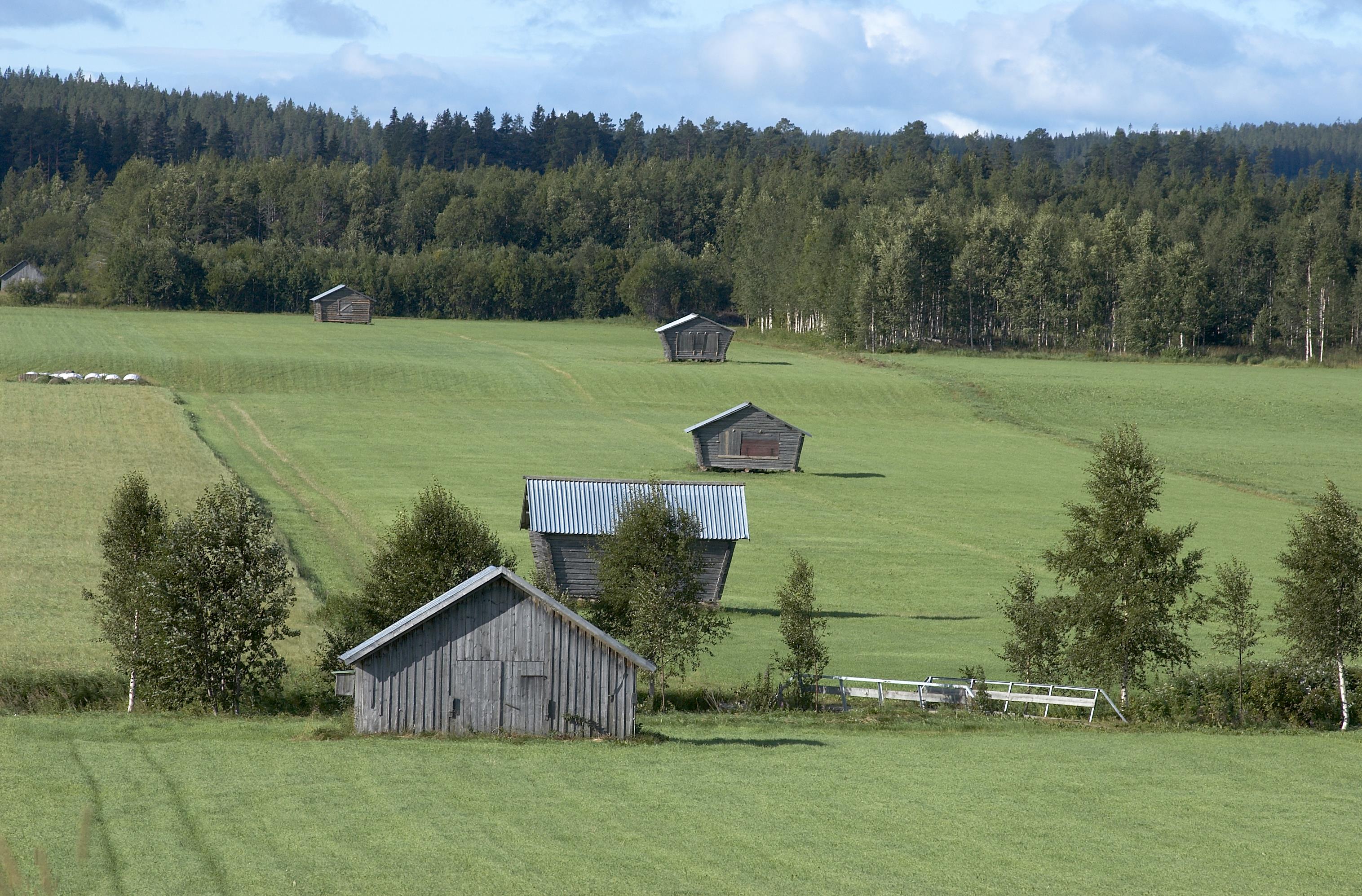 Bengt A Lundberg, Avan