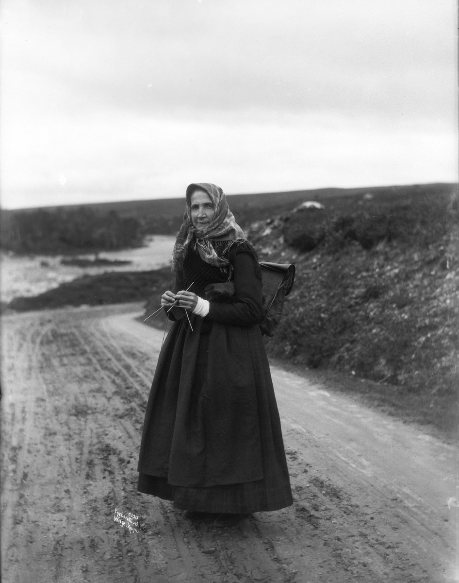 Anders Beer Wilse, Prot: Genere - Skreppekone med Strikketøi 7. Aug. 1903