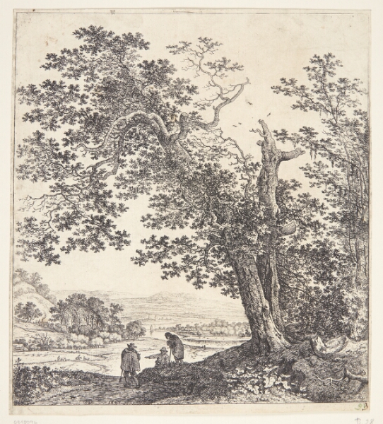 Herman Saftleven, Panorama med en flod, i forgrunden et dobbeltstammet træ