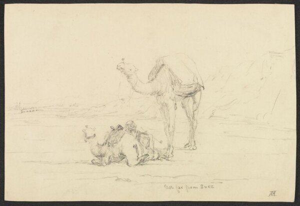 Unknown, Not Far From Suez