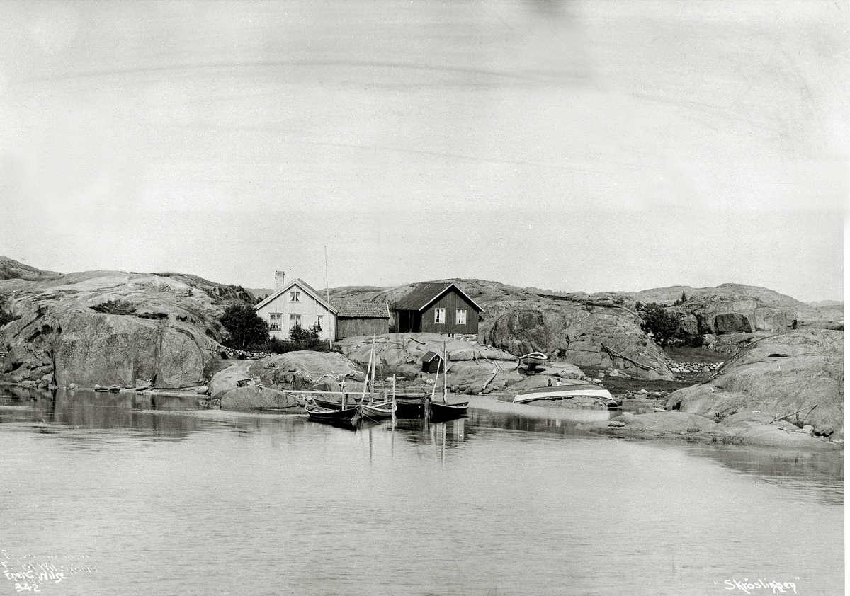 Anders Beer Wilse, Prot: Tjømø Skrøslingen Lodsernes hjem Juli 1903