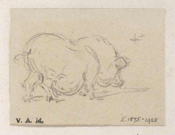 George Chinnery, A study of a pig