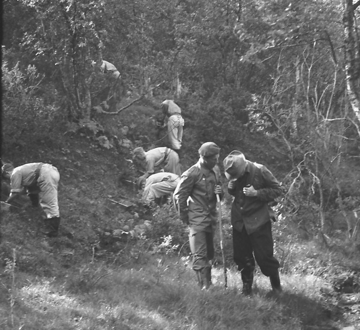 Per Magne Grue, Skogplanting, skjøtsel, hogging, grøfting, Kvikne.