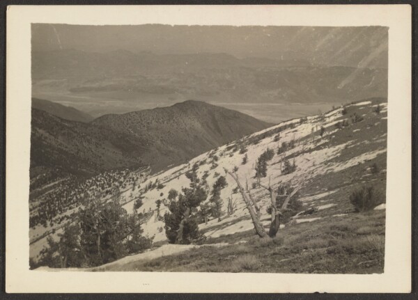 Louis Fleckenstein, [Landscape]