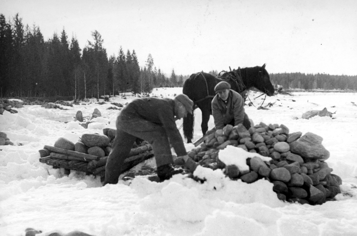 Anno Domkirkeodden, Dyri gard i Løten, Steinrydding. Rydding av ny åker, nybrott, nydyrking. Stein lastes på steinslede. Hest, hesteredskap. To ukjente gårdsarbeidere.