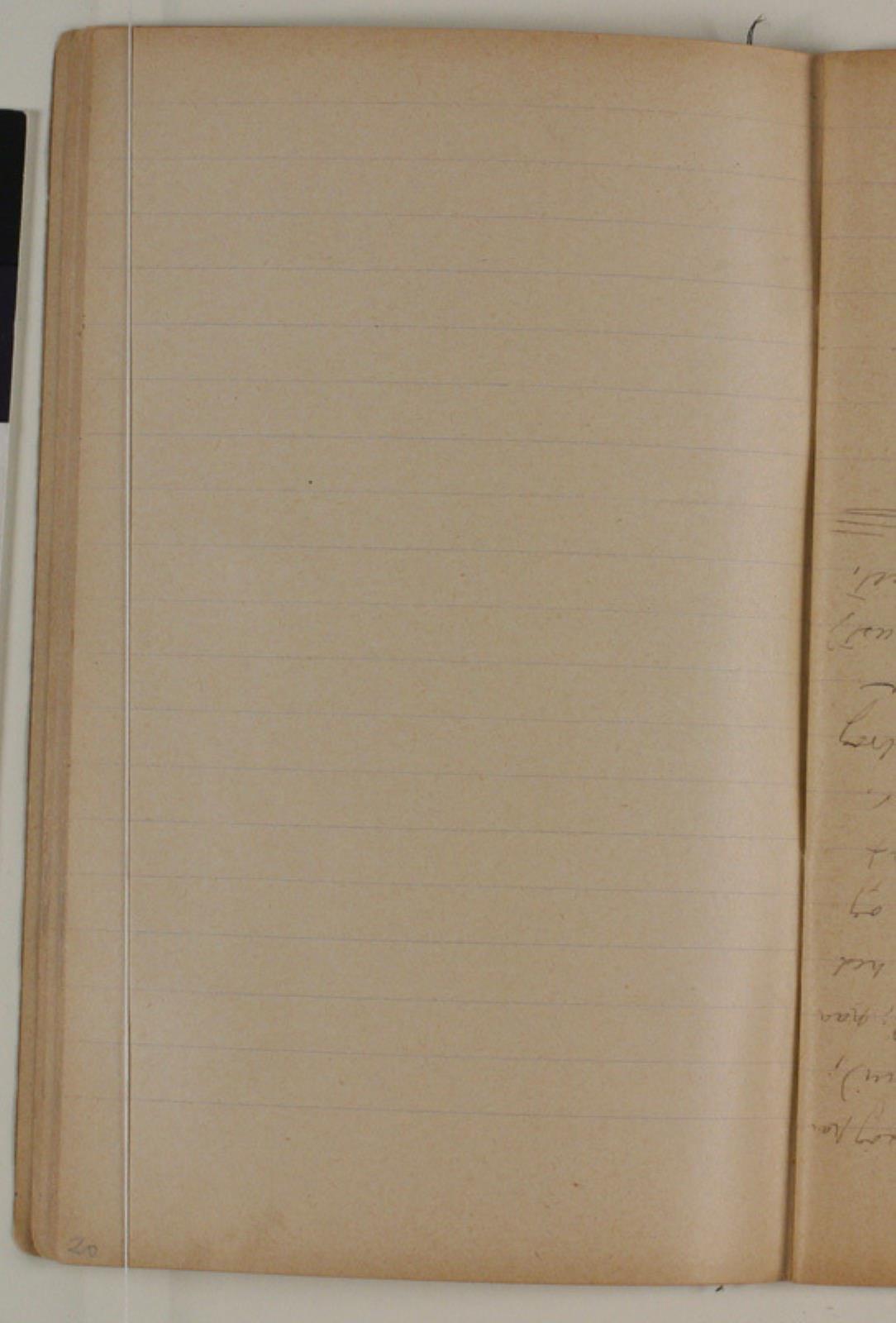 Niels Larsen Stevns, Blank