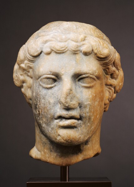 Unknown, Head of a Youth