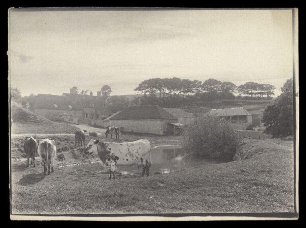 Gale, Lt. Col. Joseph, Landscape