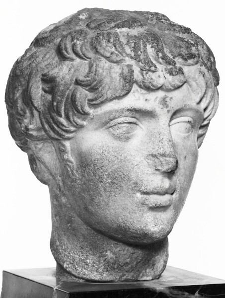 Unknown, Portrait Head of a Youth