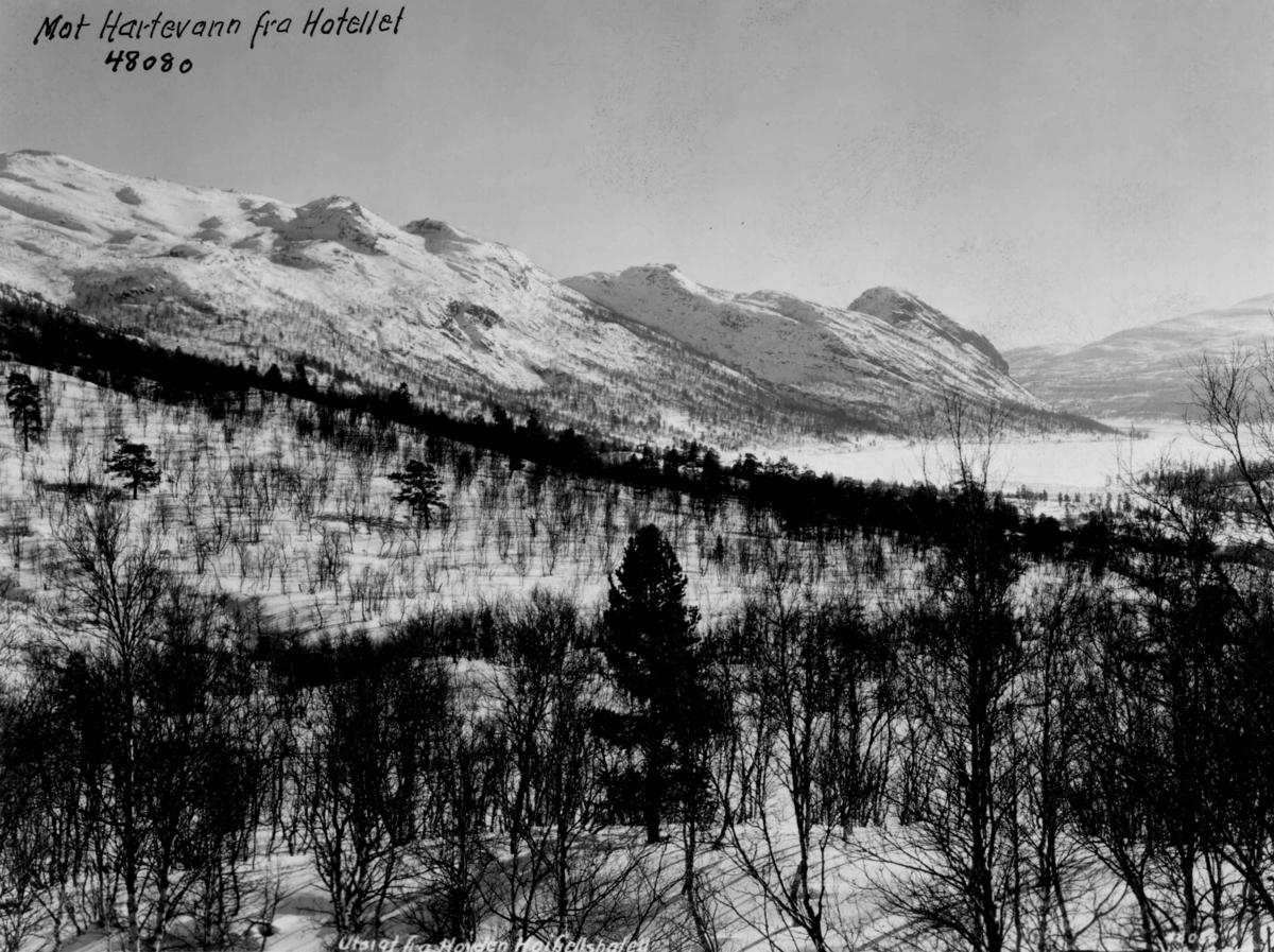 Anders Beer Wilse, Landskap, sno, Hovden.