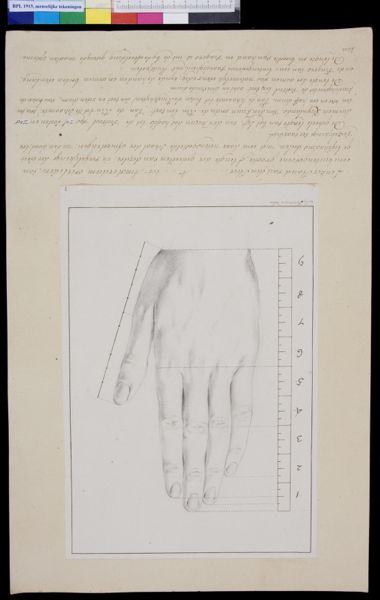 M Houtman, Left hand
