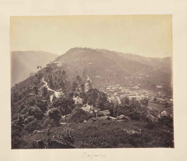 Unknown, Darjeeling
