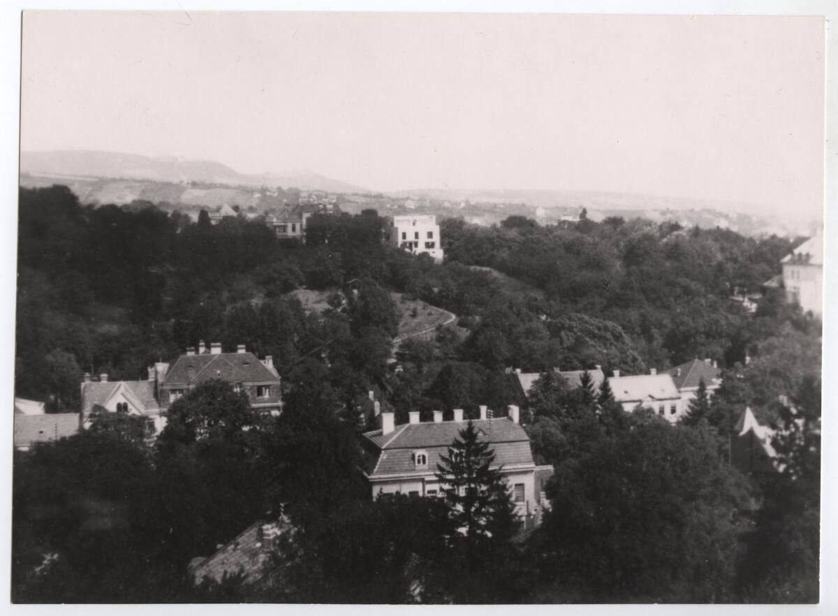 Anonym, Haus Hans und Anny Moller, Wien XVIII., Starkfriedgasse 19, Gartenseite von der Ferne