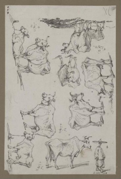 George Chinnery, Studies of cattle