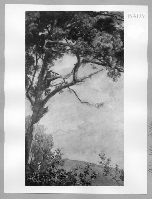 Gustav Schönleber, Landscape with a fir