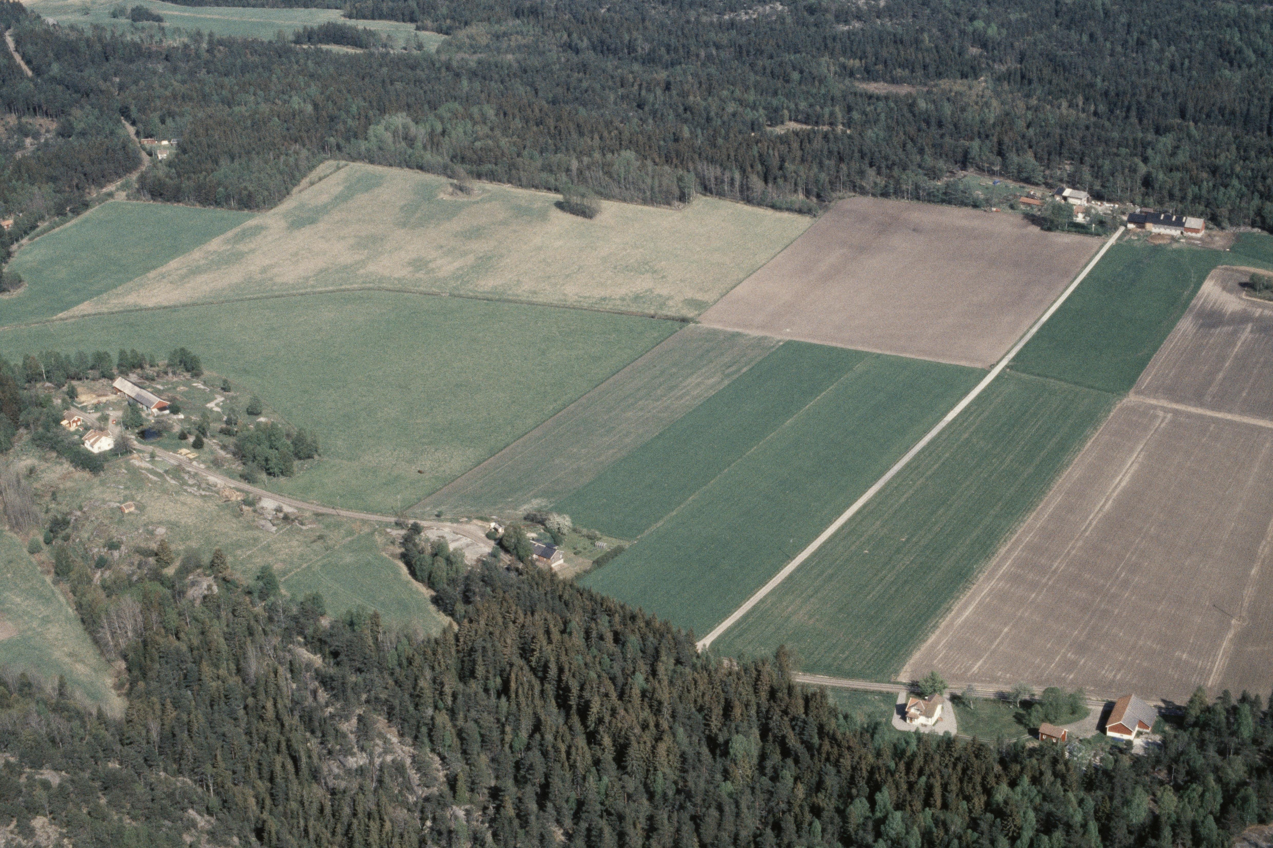 Jan Norrman, Skee 631