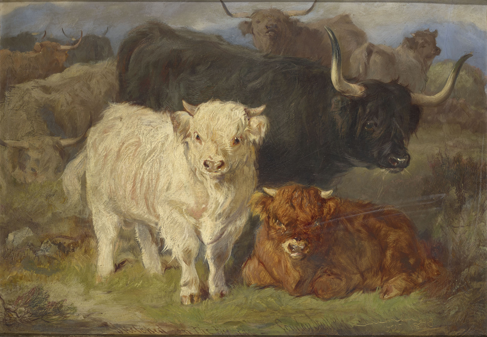 Gourlay Steell, A study of Highland Cattle