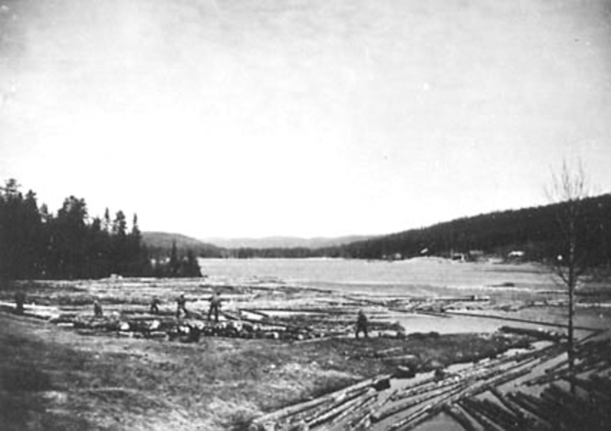 Anno Domkirkeodden, TØMMERFLØTING, UTISLAG, MENN ARBEIDER, RASENSJØEN,