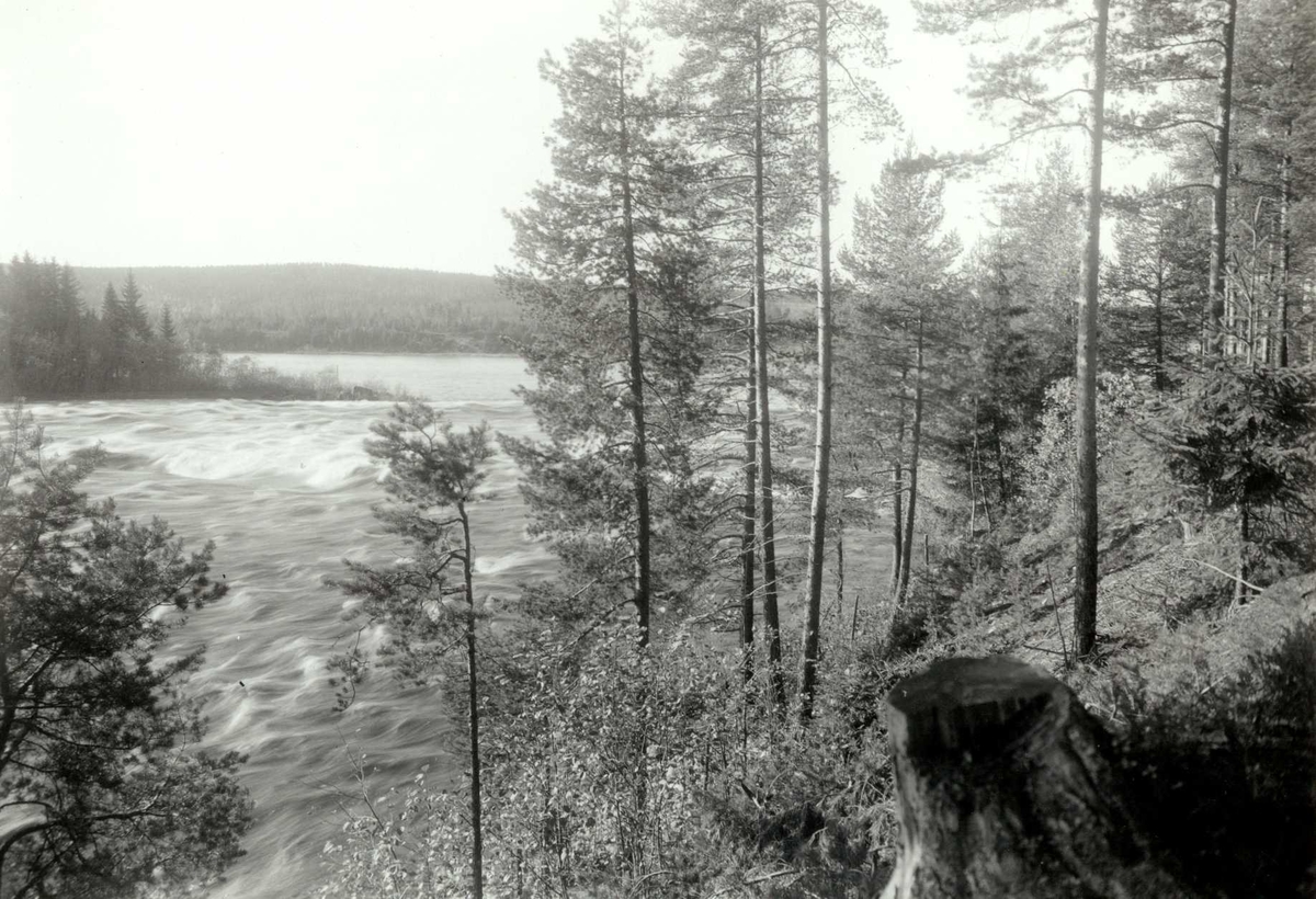 Gisle Midttun, Prestfossen, Elverum, Sør-Østerdal, Hedmark. Glomma med foss mellom trær.