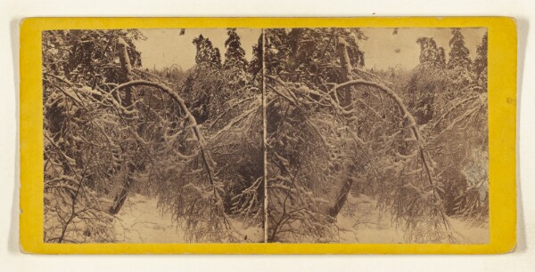 Edward and Henry T. Anthony & Co., Winter in the Catskills. [Ice and snow]