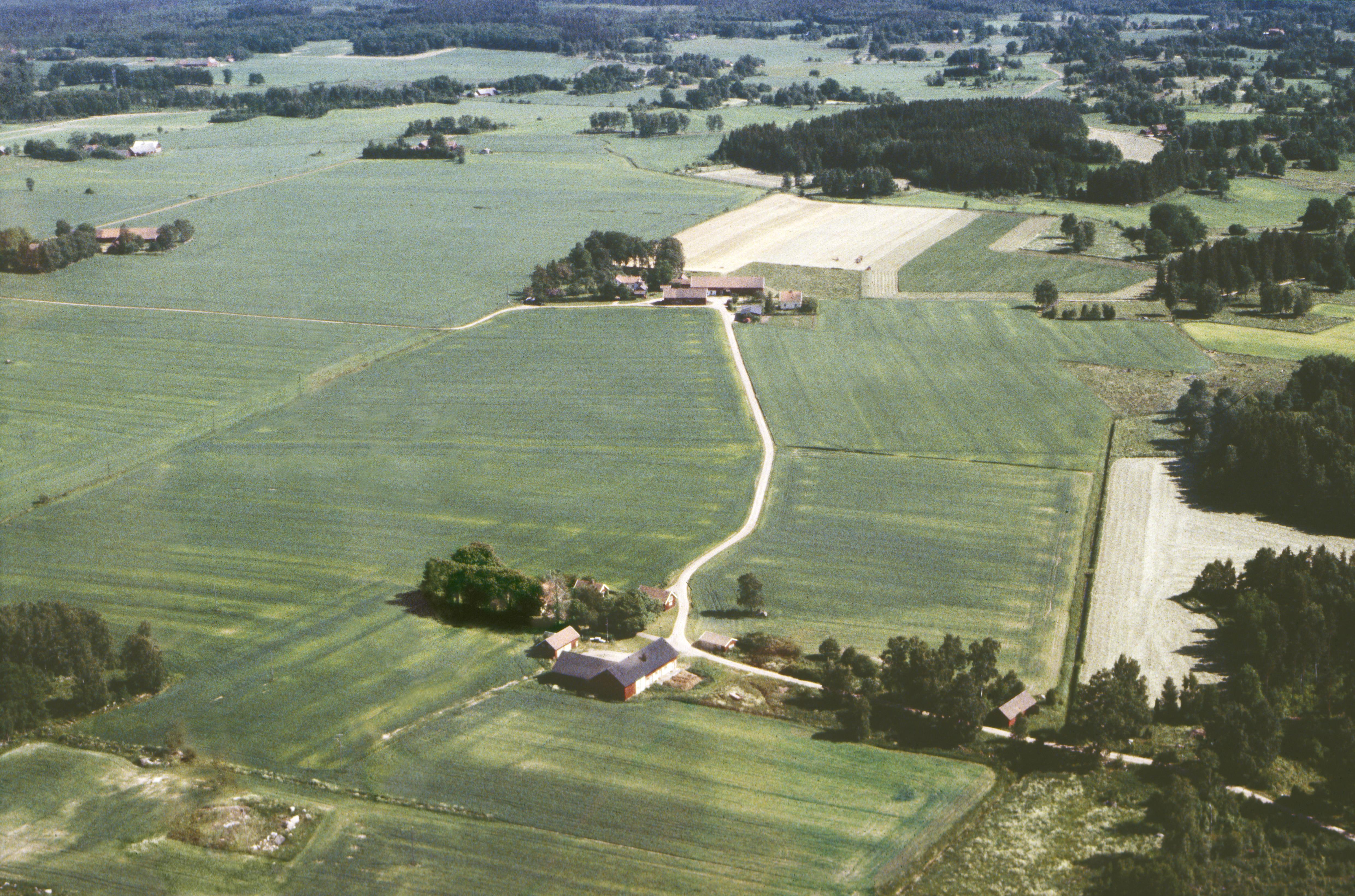 Jan Norrman, Larv (osäkert motiv)