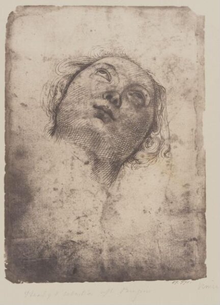 Fratelli Alinari, Head of St. Sebastian, after Perugino