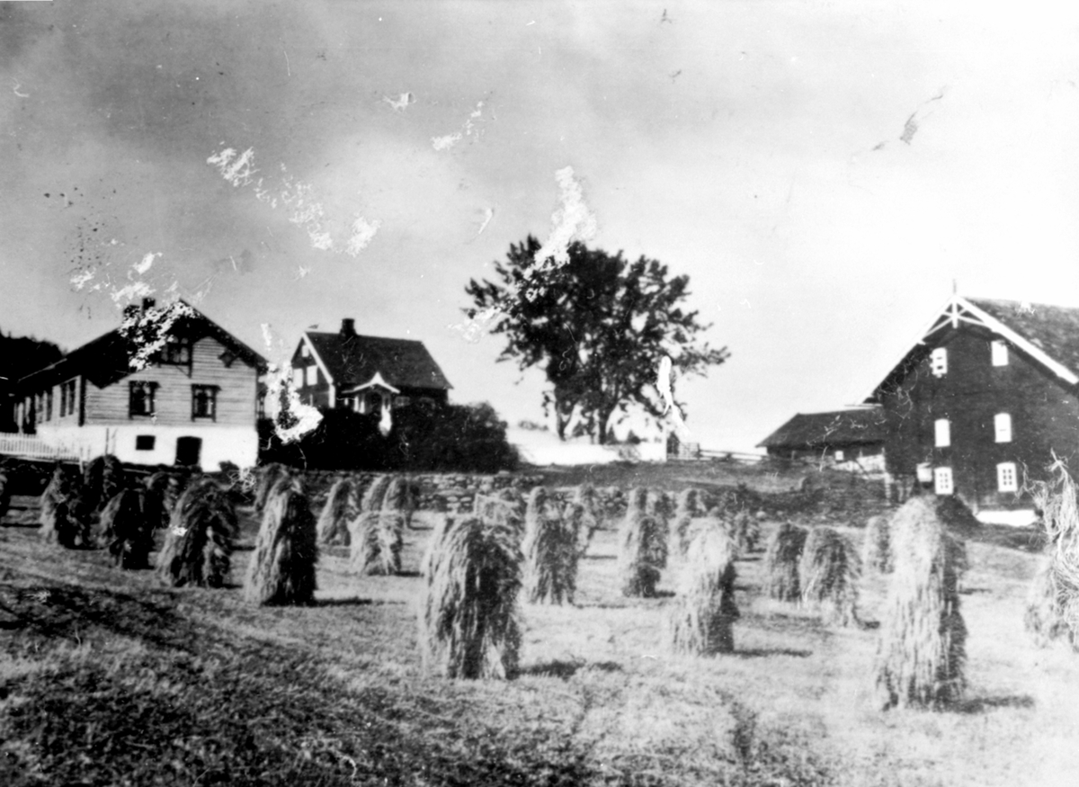 Anno Domkirkeodden, Eksteriør, gardsbruk, kornsnes på staur i forgrunnen, Røhnebæk, Nes, Hedmark.