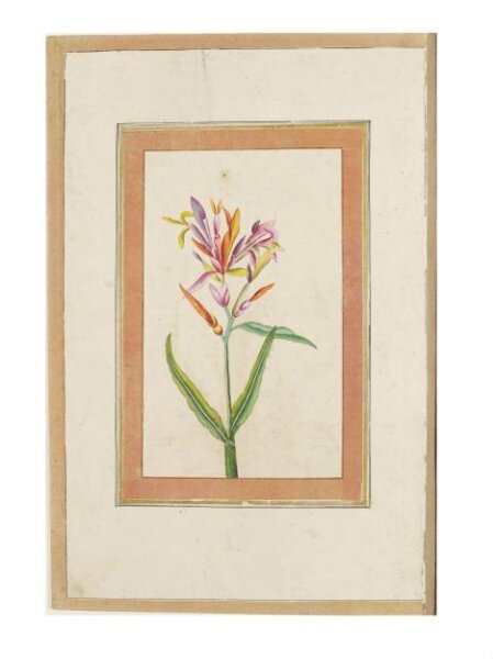 Unknown, Painting