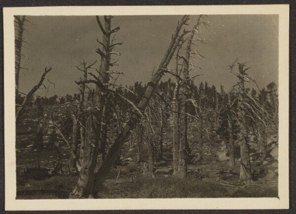 Louis Fleckenstein, [Landscape]