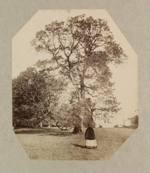 Clementina, Lady Hawarden, Photograph