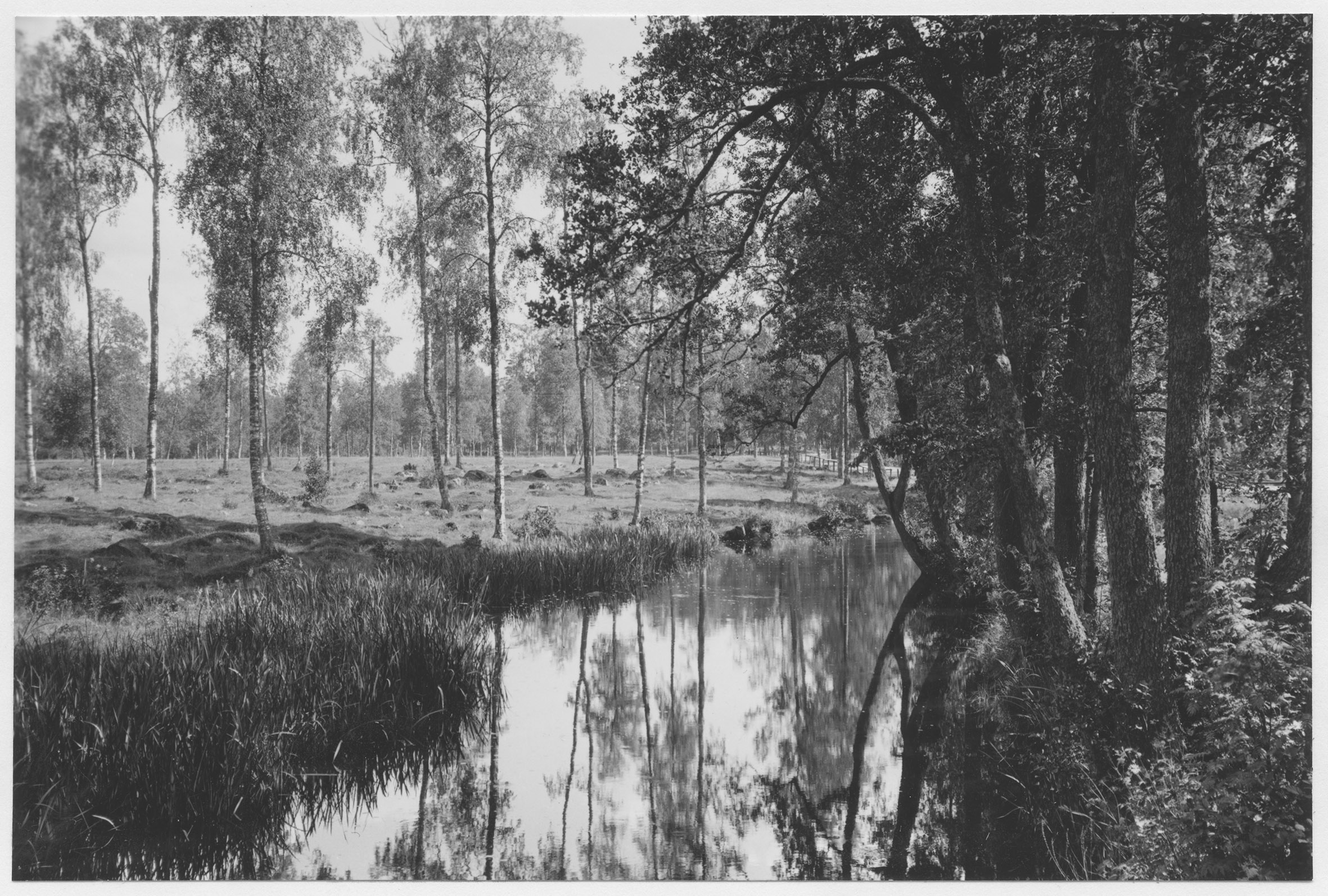 Mårten Sjöbeck, Stora Lassåna herrgård