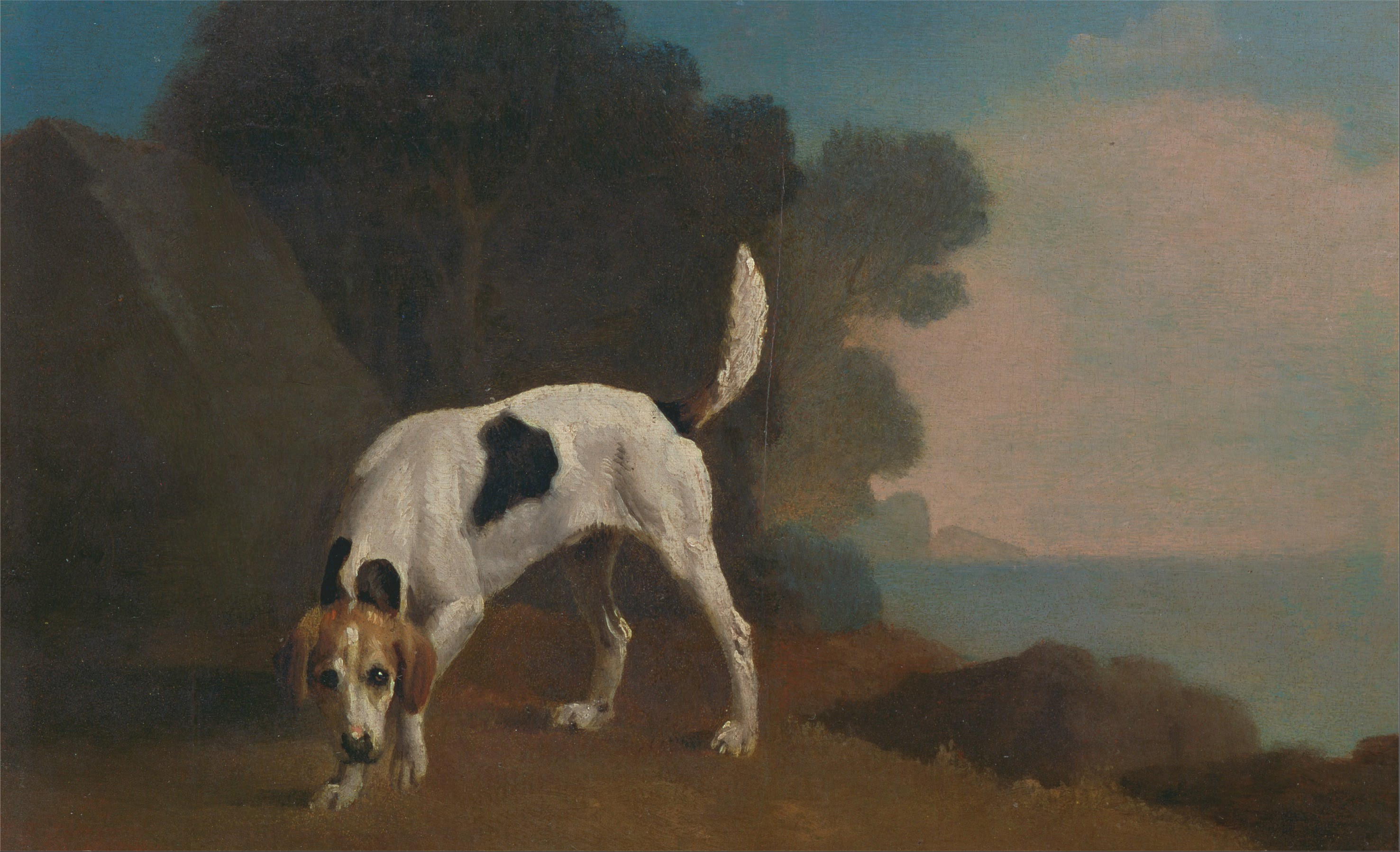 George Stubbs, Foxhound