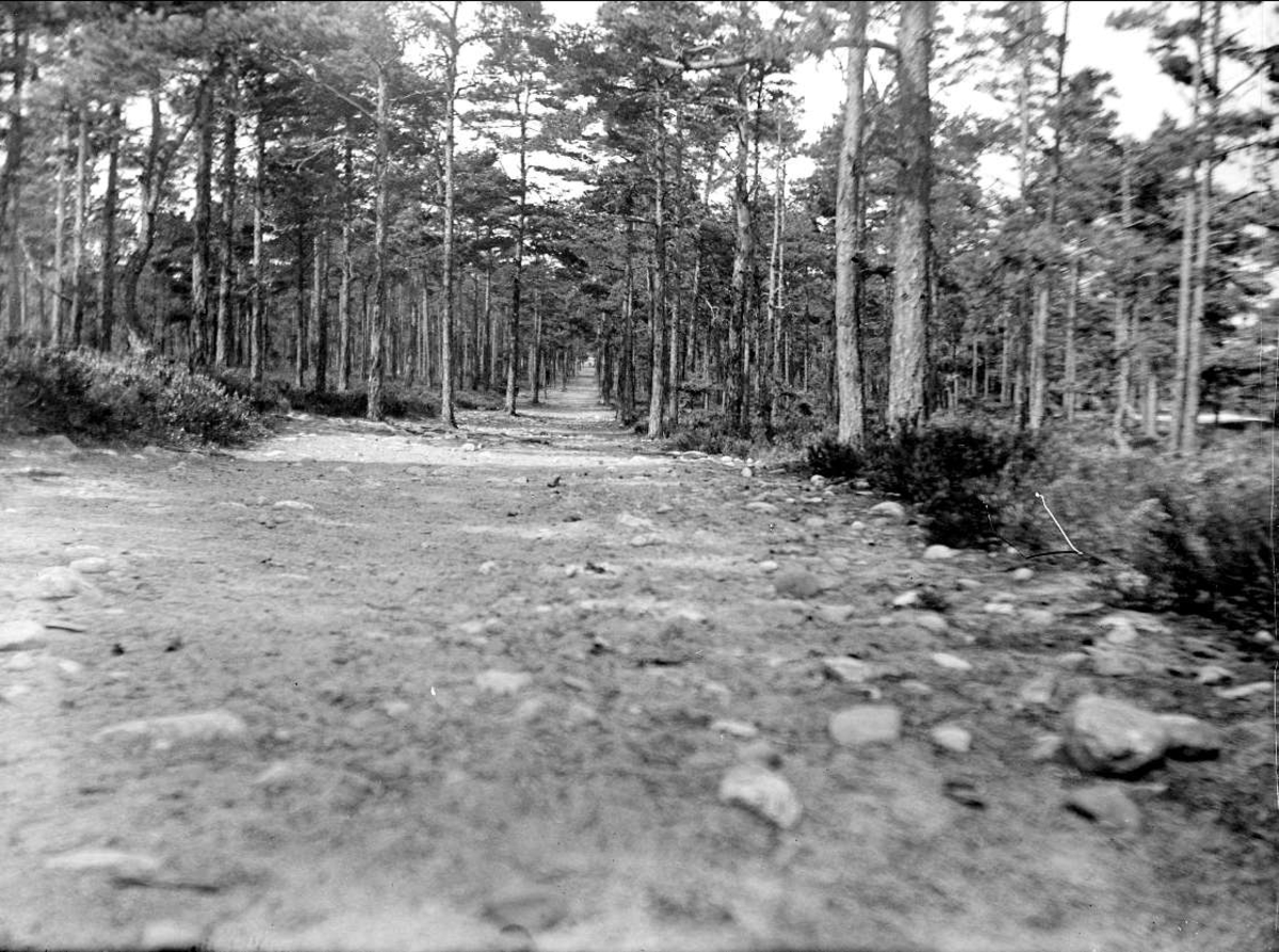 August Fredrik Schagerström, Från Skogsvägen till "Tronville", Stockholms skärgård augusti 1927