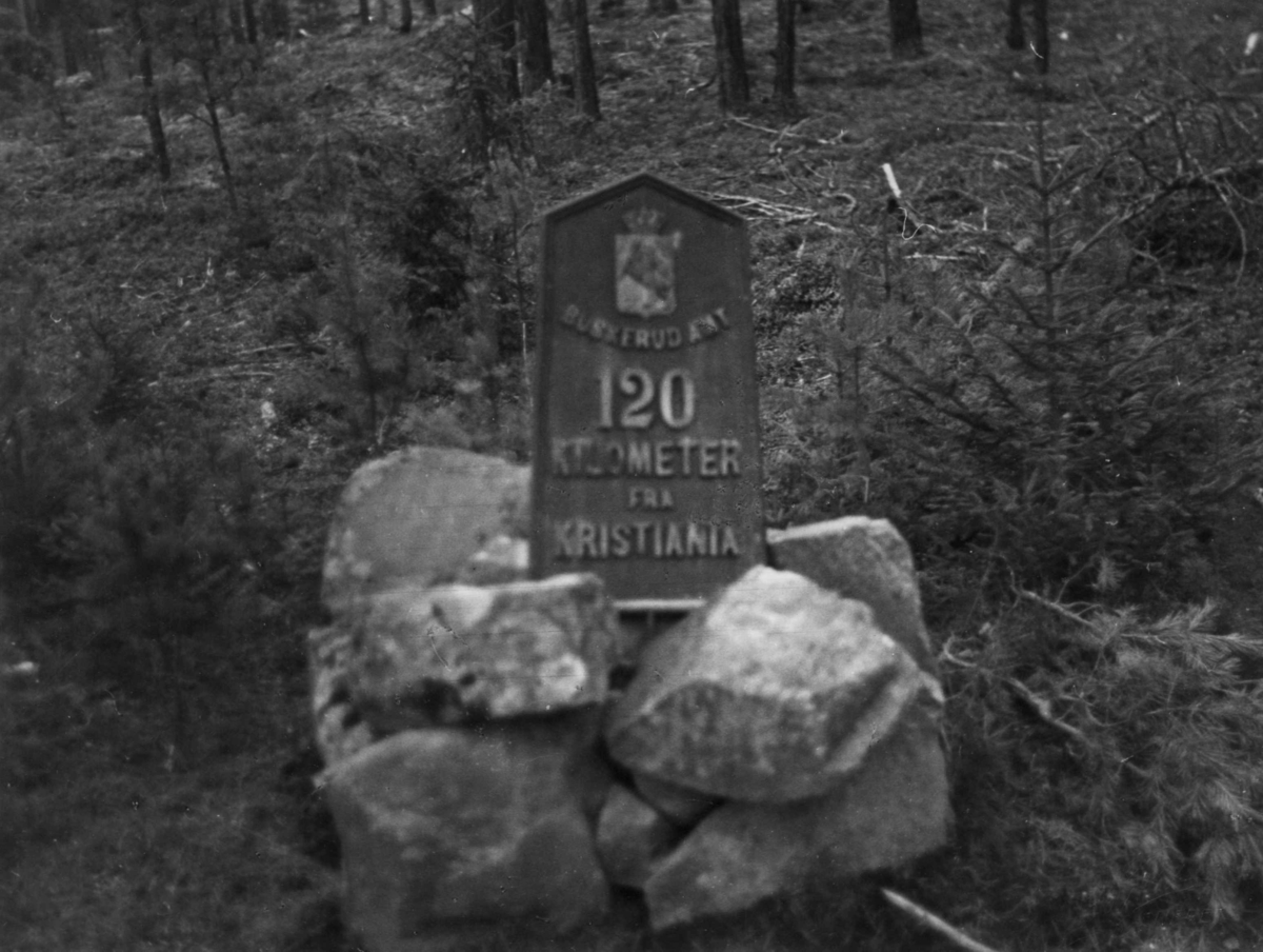 Anders Beer Wilse, Kilometermerke, Begnadalen, Nes