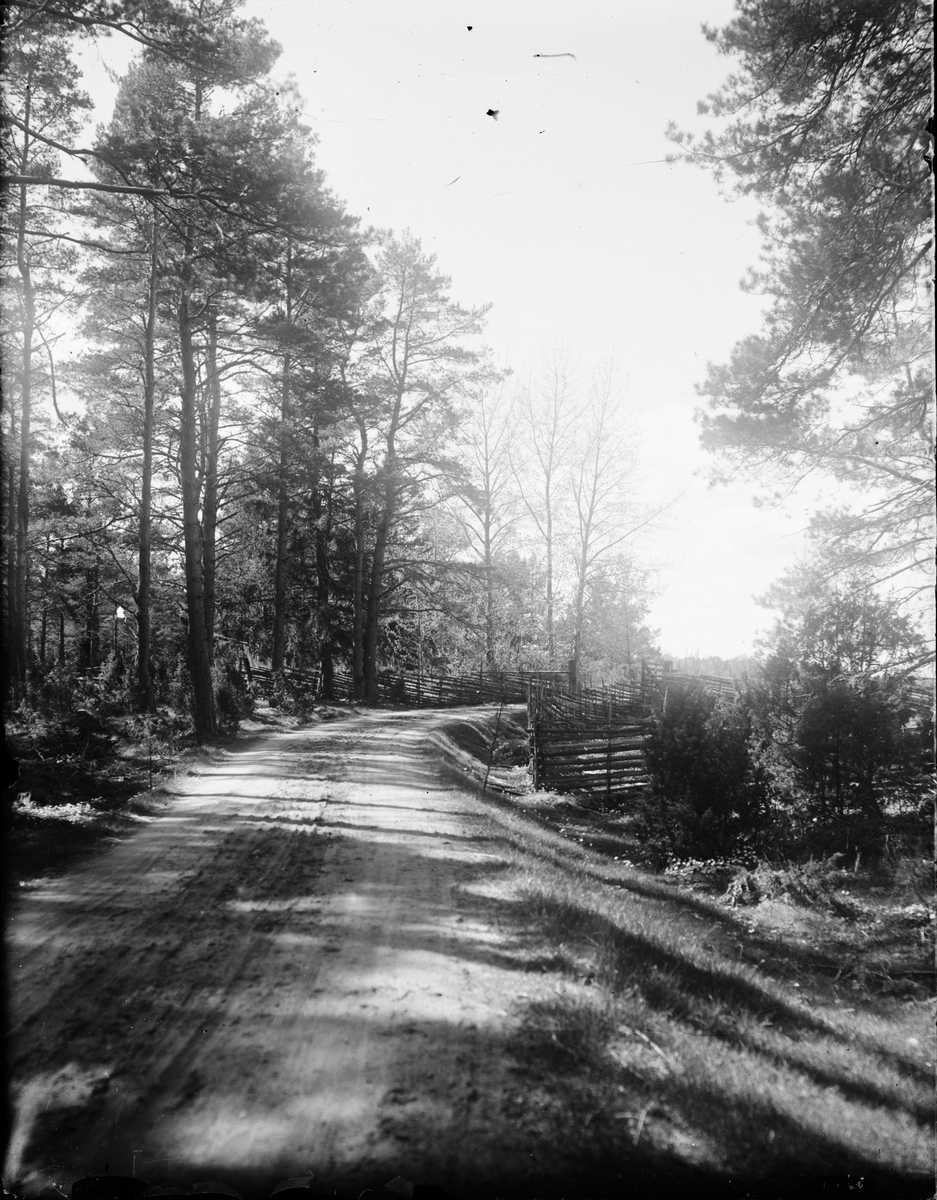 Per Elis Edhlund, Road, Östhammar, Uppland