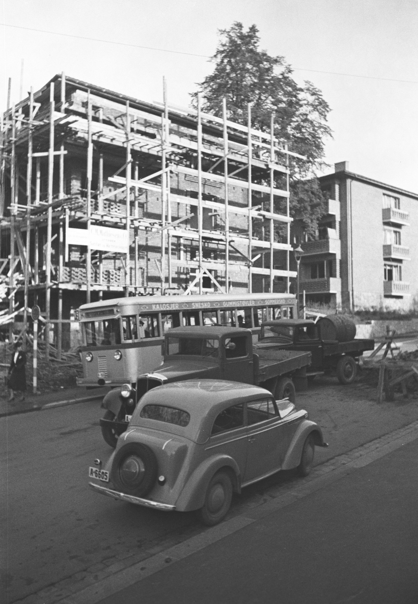 Anders Beer Wilse, Prot: Arbeidsplass