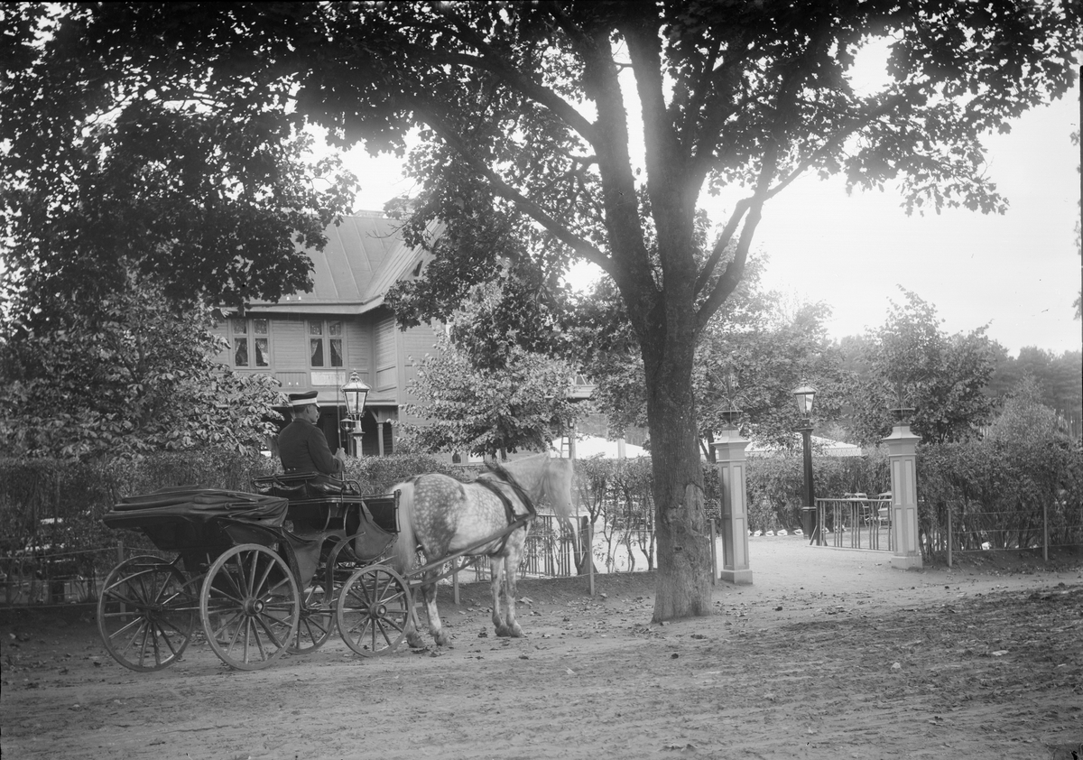 Henri Osti's Fotografiateliér, Hästekipage vid Grindstugan, Kåbo, Uppsala 1899