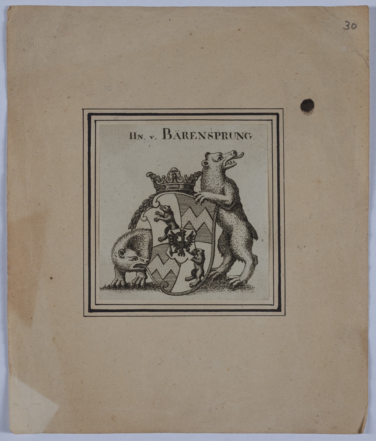 Unknown artist, Wappen der Familie von Bärensprung