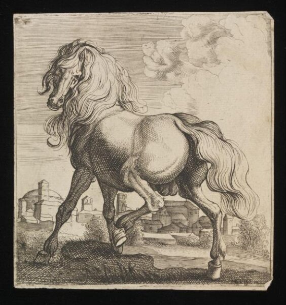 Unknown, Print