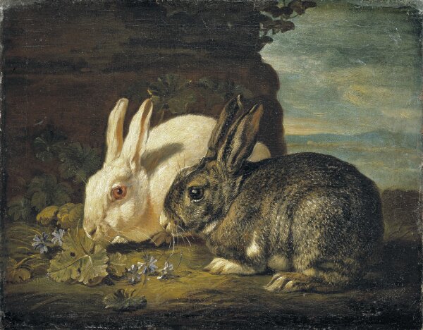 David de Coninck, Två kaniner, detalj från "Djurstycke"