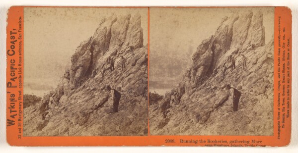 Carleton Watkins, Running the Rookeries, gathering Murr eggs, Farallone [sic] Islands, Pacific Ocean.