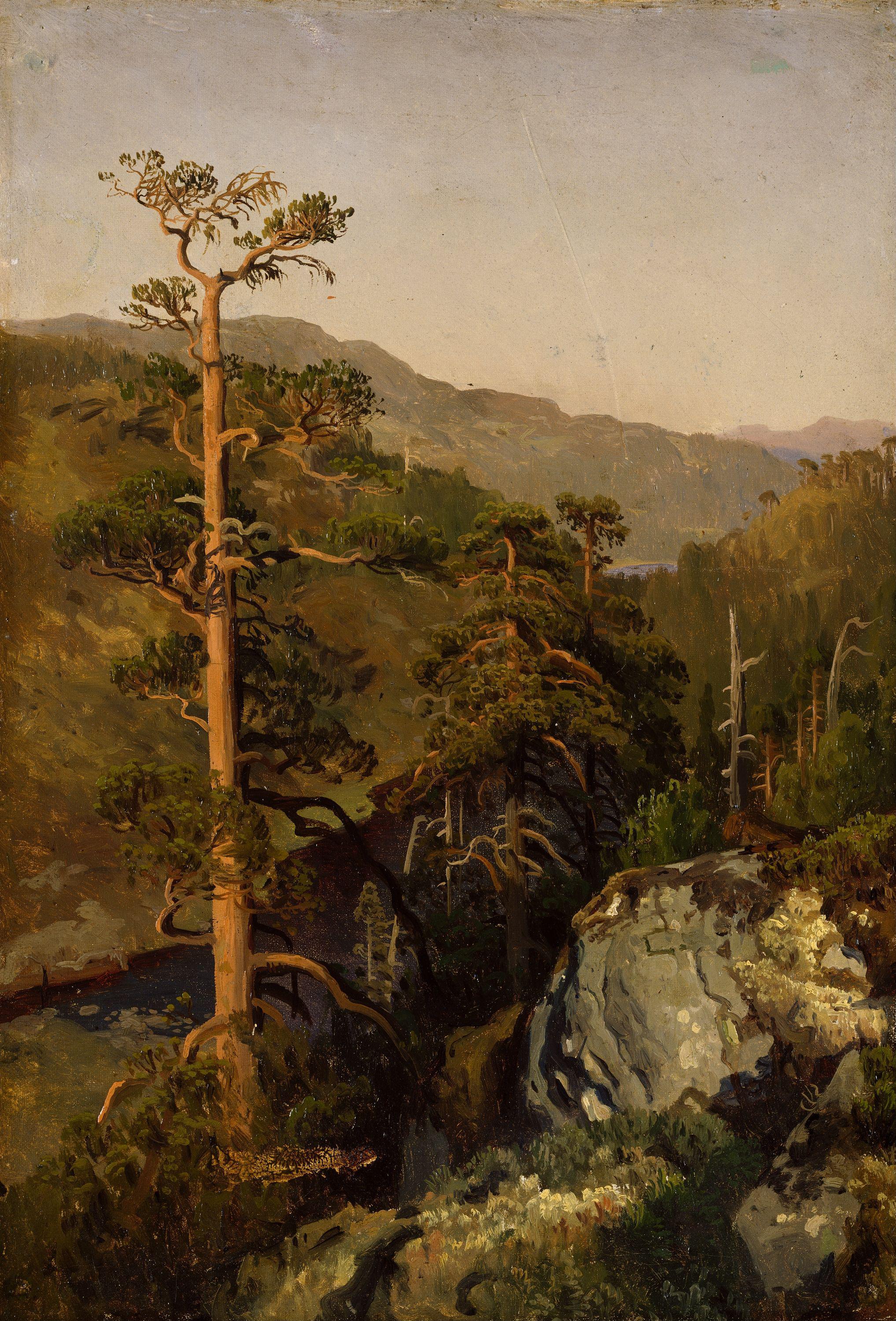 August Cappelen, Rocky Landscape with Pinetreees