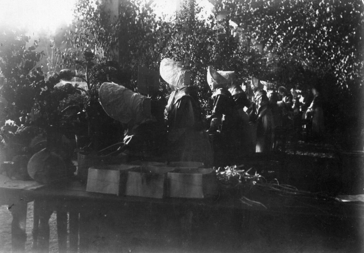 Narve Skarpmoen, Tilstelning på Norsk Folkemuseum. Fra høstfesten i 1902. Kvinner med kysehatter.