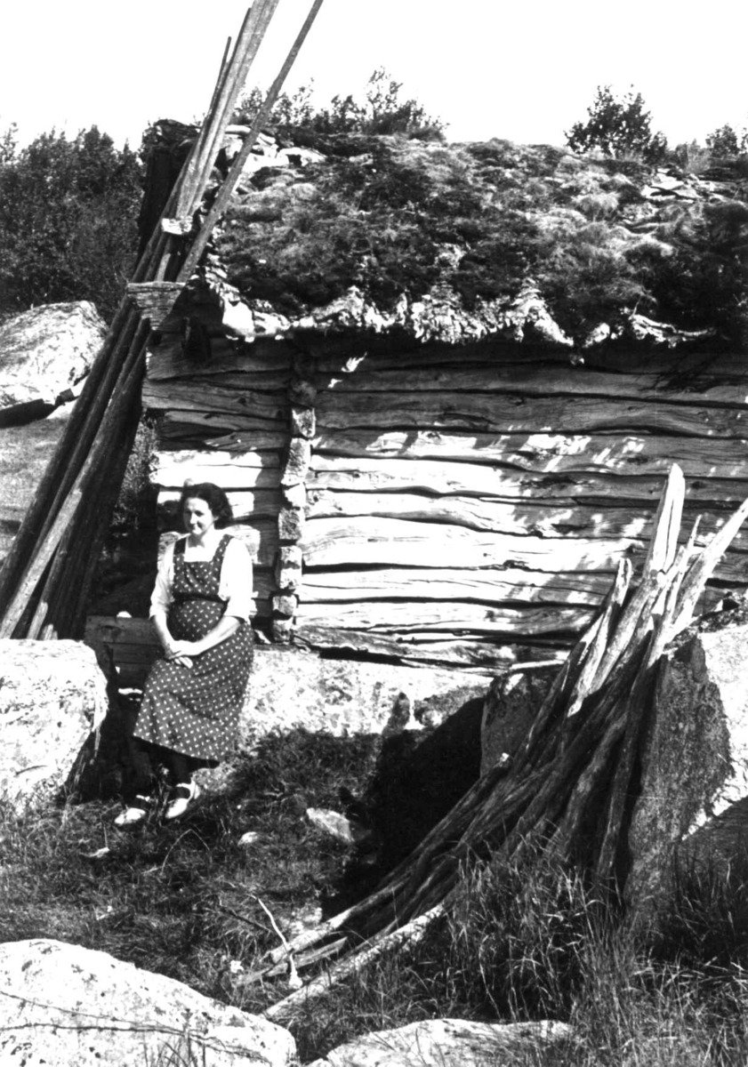 Anna Grostøl, Fru Skott sitter ved en gamme laftet bygning med torvtak, en bu av bjørk. Rørosbygdene, Røros, Sør-Trøndelag.