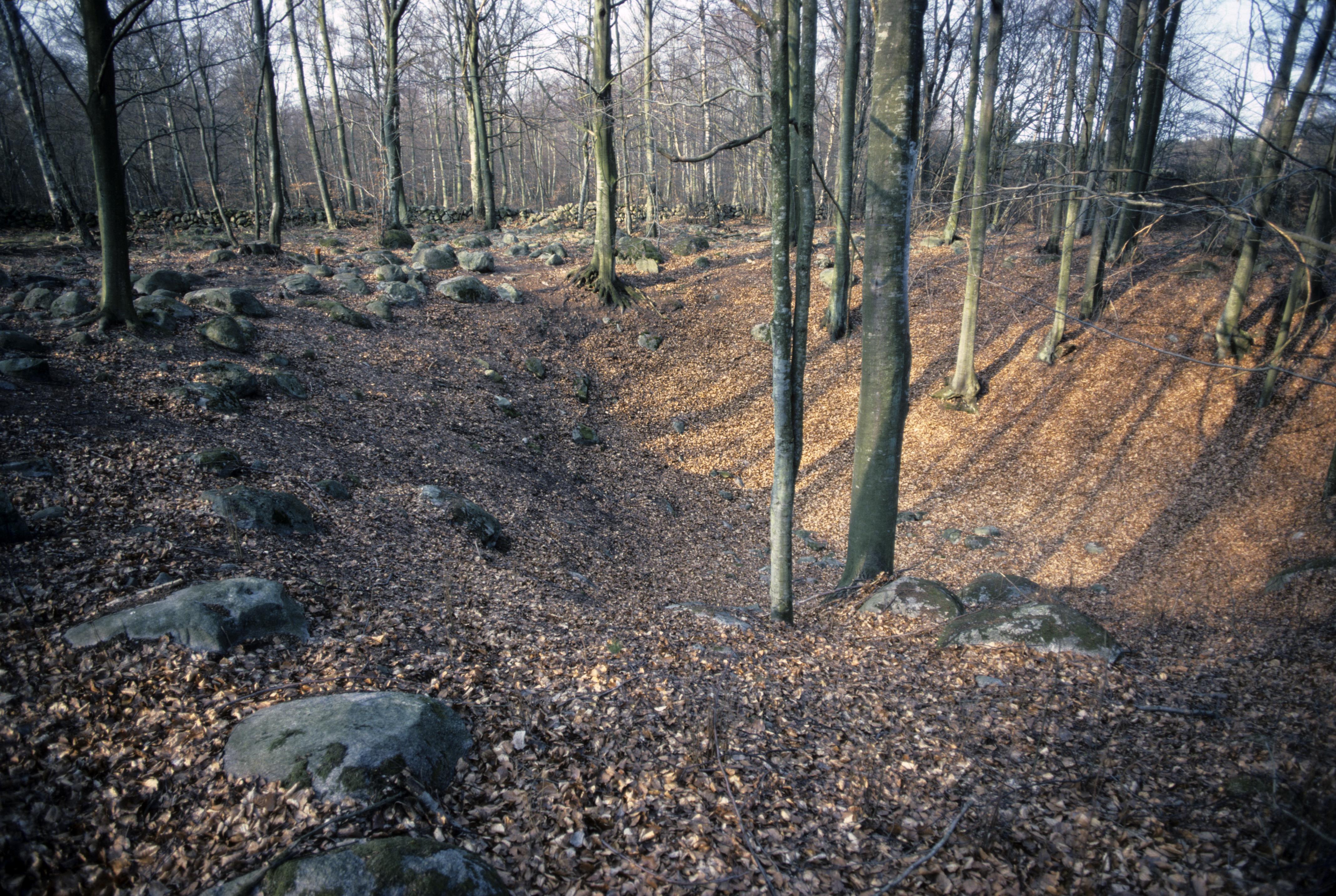 Pål-Nils Nilsson, Balsberget