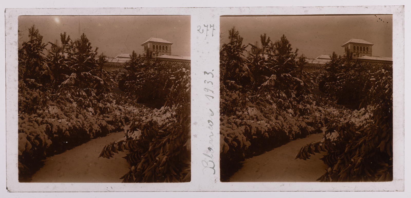Desconegut, Blancor 1933