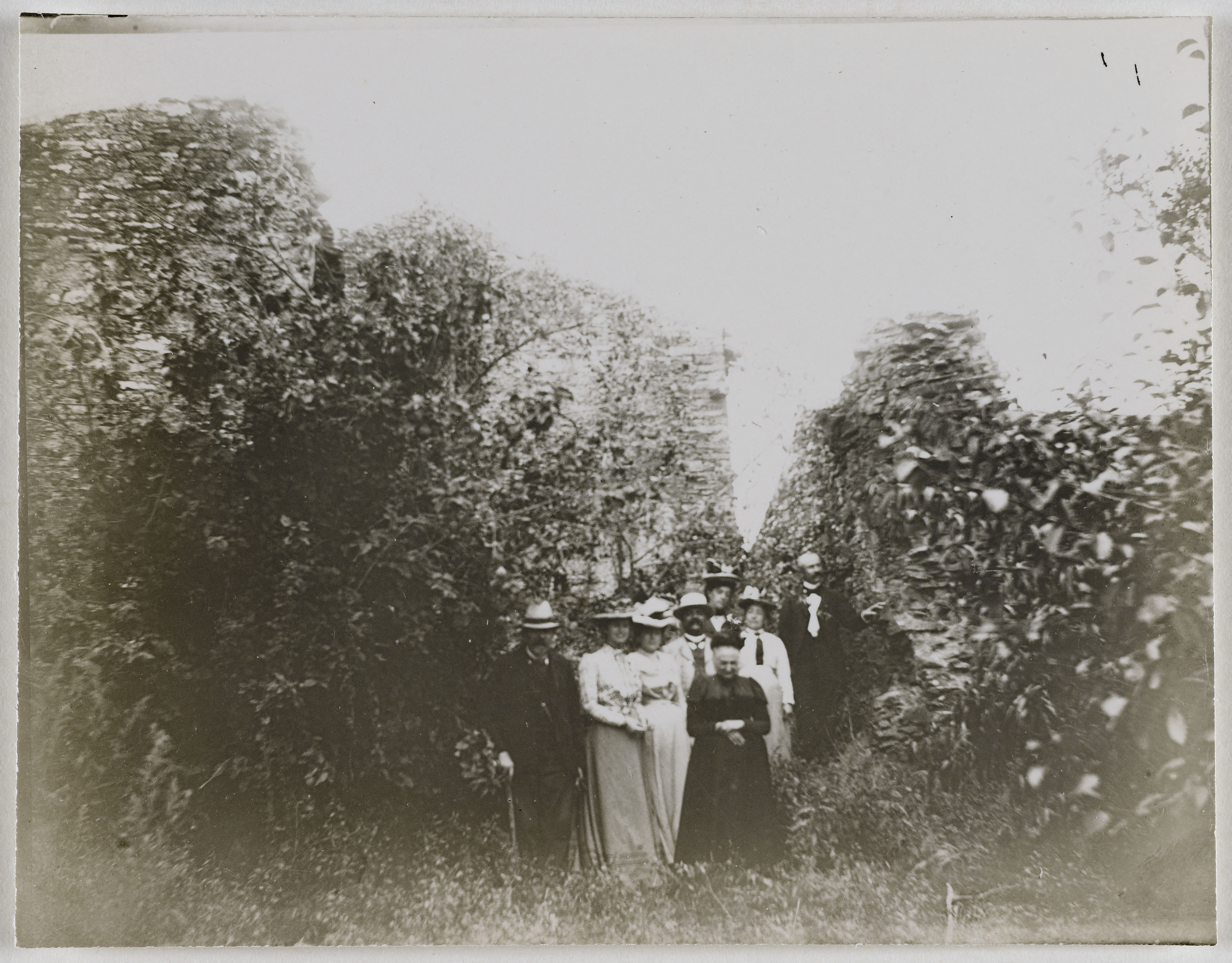 Anonyme, Portrait de groupe dans la nature