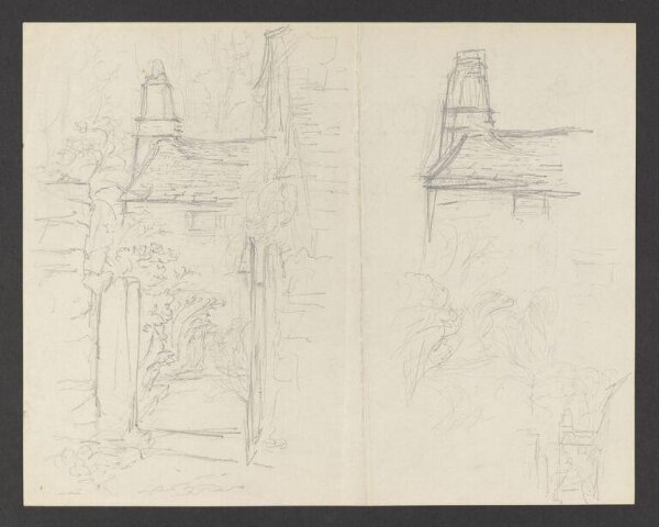 Potter, Beatrix, drawing